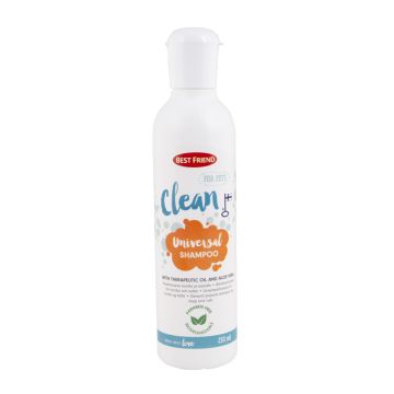 BEST FRIEND CLEAN YLEISSHAMPOO 250 ML