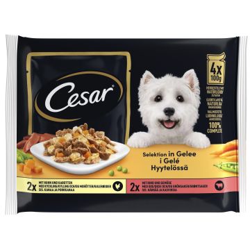 CESAR ANNOSPUSSI HYYTELÖLAJITELMA 4*100G 400 G