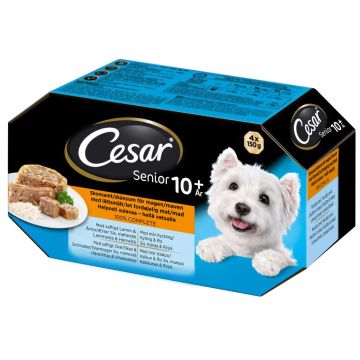 CESAR SENIOR HYYTELÖLAJITELMA 4*150G 600 G