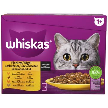 WHISKAS 1+ SIIPIKARJAHERKUT KASTIKKEESSA 12*85G 1,02 KG